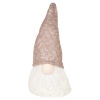 Gnome With Battery Operated LED Light