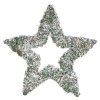 Decorative Rattan Christmas Star with 40 Warm White LED Lights [992001]
