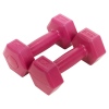 500g Pink Dumbbell x2 [056115]