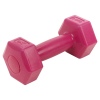 500g Pink Dumbbell x2 [056115]