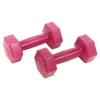 500g Pink Dumbbell x2 [056115]