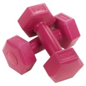 500g Pink Dumbbell x2 [056115]