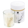 Wax Scented Candles in Glass Jar Gift Boxed 3 ASS [797873]