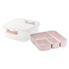 Plastic Storage Box With Sorter Tray [644290]