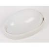 Outdoor Oval Plastic Wall Light [454153] 