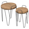 2Pc Solid Teak Round Nesting Side Tables [822292]