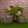 3 Piece Rattan Flower Basket Sets