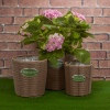 3 Piece Rattan Flower Basket Sets