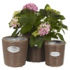 3 Piece Rattan Flower Basket Sets