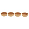 4 Pcs Tapas Bowl Set