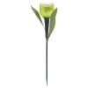 6 Pc Solar Powered Tulips