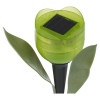 6 Pc Solar Powered Tulips