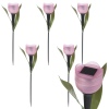 6 Pc Solar Powered Tulips