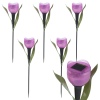 6 Pc Solar Powered Tulips