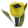 6 Pc Solar Powered Tulips