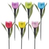 6 Pc Solar Powered Tulips