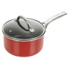 HITECLIFE Metallic Red Non Stick 10 Pc Aluminium Pan Set With Metal Handles [N9103]