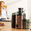 Berlinger Haus Juicer