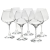 6 Pcs Set RISUS Stemware Glass