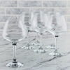 6 Pcs Set RISUS Stemware Glass