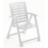 REXI Folding Chairs