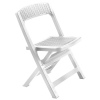 ASSO Plastic Folding Garden Chair