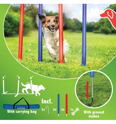 Dog Training Playing Set With Carry Bag