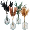 WIld Pampas Reed Plume 10 Pcs