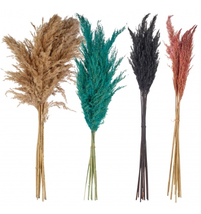 WIld Pampas Reed Plume 10 Pcs