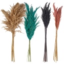 WIld Pampas Reed Plume 10 Pcs