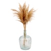 WIld Pampas Reed Plume 10 Pcs