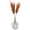 WIld Pampas Reed Plume 10 Pcs