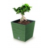 FURU Square LOW Planter