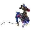 20cm Acrylic Reindeer with 20 Colour LED Lights [615654]