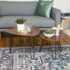 2Pcs Mid Century Modern Coffee Table Set - Walnut [777210]