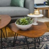 2Pcs Mid Century Modern Coffee Table Set - Walnut [777210]