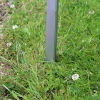 Solar Garden Lighting 4led (385518)