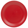 LIFESTYLE Large Plastic Dinner Plate