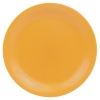 LIFESTYLE Large Plastic Dinner Plate