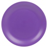 LIFESTYLE Large Plastic Dinner Plate