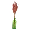 Pampas Plume and  and Heavy Glass Vase Sets