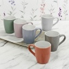 Set of 6 Colourful 240ml Mugs [523059]