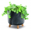 GRACIA TUBUS Plastic Planter With Legs