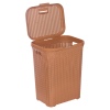 55L Plastic Rattan Laundry Basket