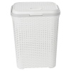 55L Plastic Rattan Laundry Basket