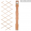 Extendable Wooden Lattice