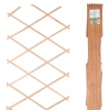 Extendable Wooden Lattice