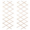 Extendable Wooden Lattice