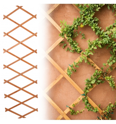 Extendable Wooden Lattice