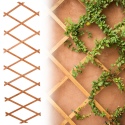 Extendable Wooden Lattice